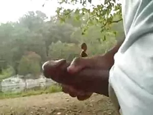 Cabra Asiática na ba ...