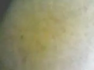 Destrói bem a minha  ...